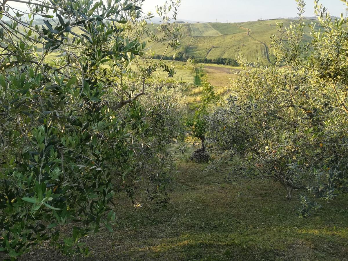 Agriturismo La Ruelle Villa Atessa Luaran gambar